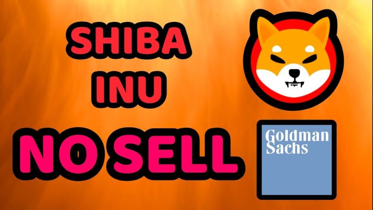 SHIBA INU IS PROGRESSING TO BECOME THE #1 COIN – It's Most Amazing Project