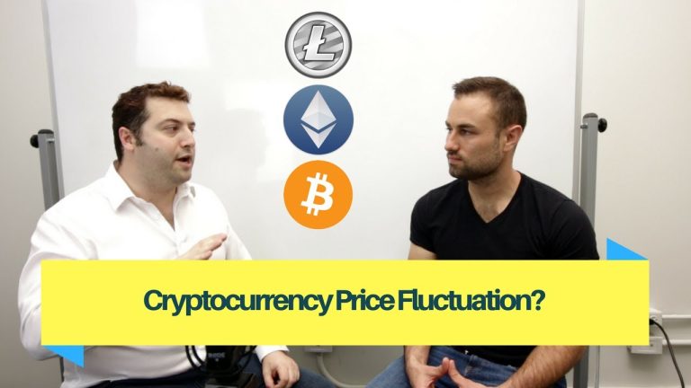 Why Does Cryptocurrency Price Fluctuate So Much?
