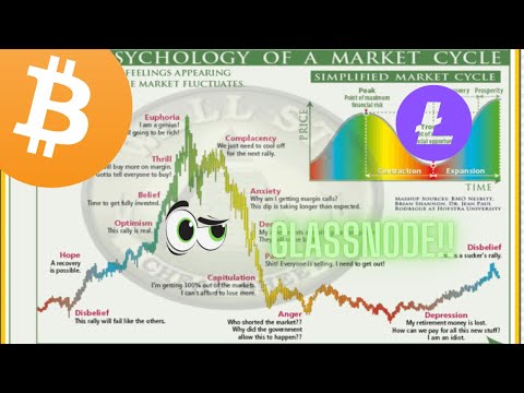 MAJOR BITCOIN, LITECOIN GLASSNODE BULL MARKET UPDATE!!! TAKE A LOOK AT THIS….