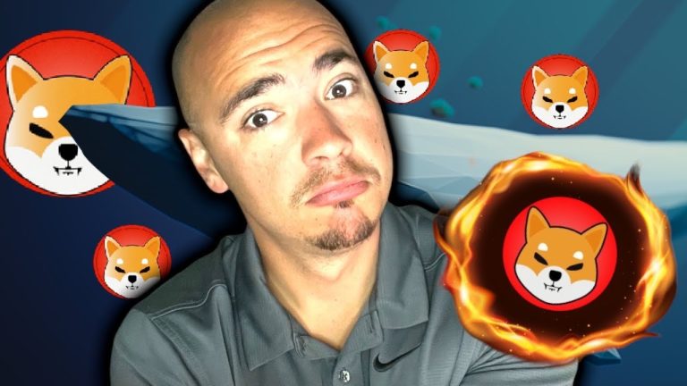 SHIBA INU COIN AND THE TOP 1000 ETHEREUM WHALES!!!
