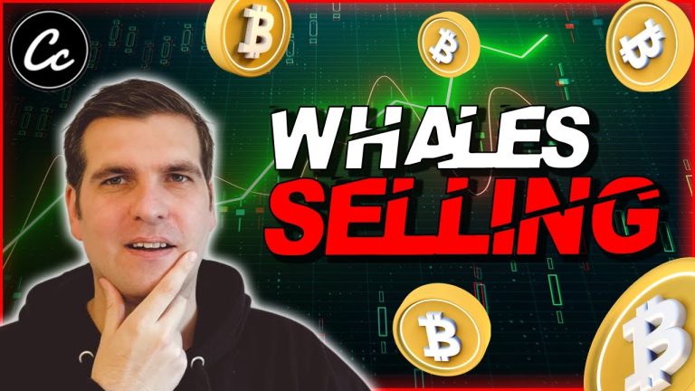 Bitcoin Price Surge: Are WHALES selling on RETAIL?