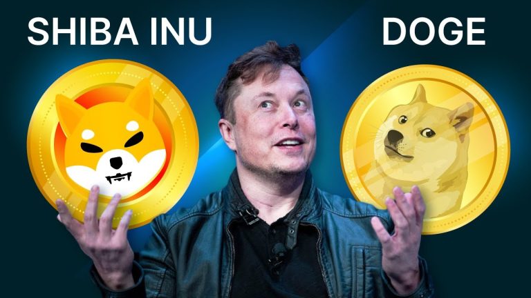 Shiba Inu Vs Dogecoin: Which Is A Better Meme Coin?