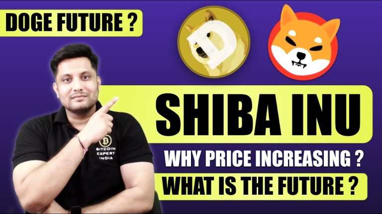 Shiba Inu – Why price increasing ? Invest or Not ? When Doge coin will pump | Bull Run 2021