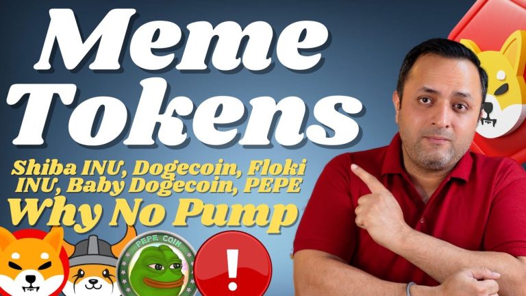 🚨 Why SHIBA INU, DOGECOIN, FLOKI INU & Other MEME Tokens Not Pumping in 2023 | Meme | Cryptocurrency