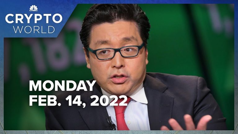 Crypto bull Tom Lee lays out risks to $200,000 bitcoin price target: CNBC Crypto World